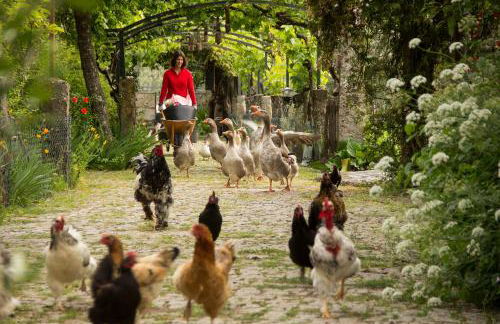 Casa das Palmeiras - Pedagogic Farm - Foto 18