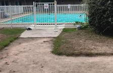 L,orchidée - Photo 9