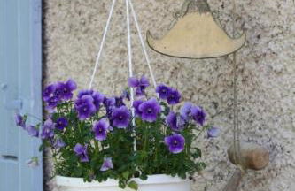 Gîtes Grand Pré ! et la Roulotte de Roquecor - Photo 49