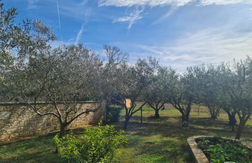 Apartman Boro - Foto 16