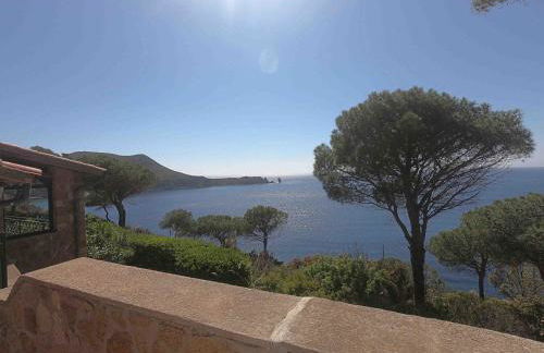 Ammiraglio - Foto 28