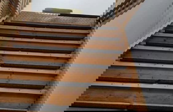 Dresdner-Tag Hermann - Foto 13