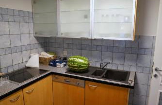 Villa Panthera - Foto 29