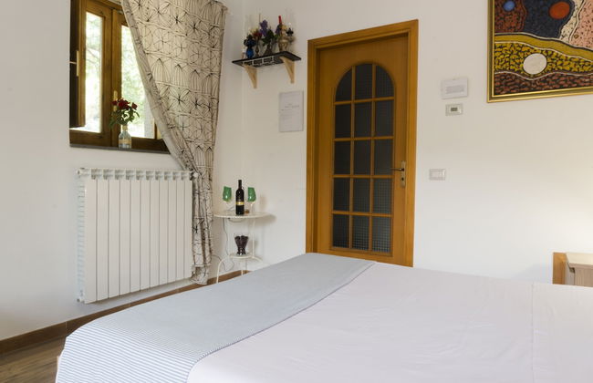 Viola nel Parco - Foto 11