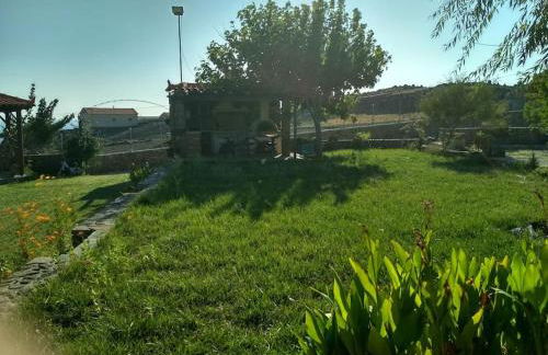 Κτήμα Κουρλή - Photo 22