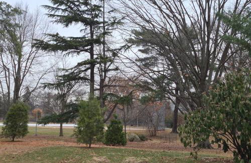 Fill Your Headspace with Tranquility Near NYC - Photo 43