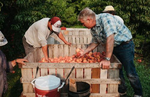 Historic Farm Cottage on 800-Acre Orchard - Foto 27