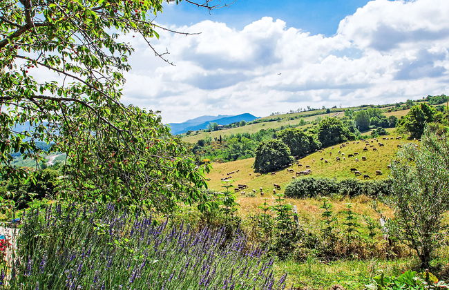 Quadrifoglio - Foto 22