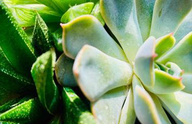 Blackforest Apartment Freiburg - 3 Rooms - Foto 20