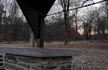 Naturraum - Wellness Oase am Mittelrheintal - Foto 21