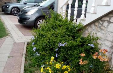 Apartmani Gero - Photo 33