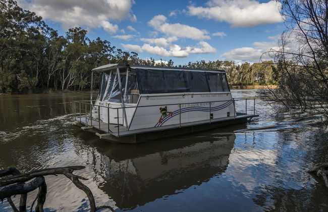 Moama on Murray River Cruisers - Photo 12