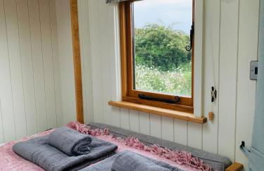 Fferm Fach by Birch Stays - Foto 21