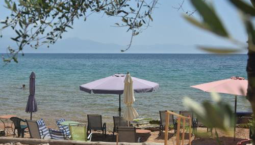 Kassimiotis - Foto 4, Other