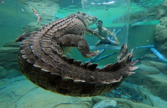 Luxury Marina Mansion Pool Gym Bbq-office - Foto 17