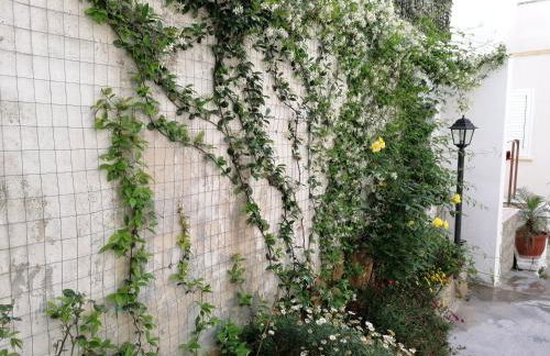 Casa Low Cost - Foto 78