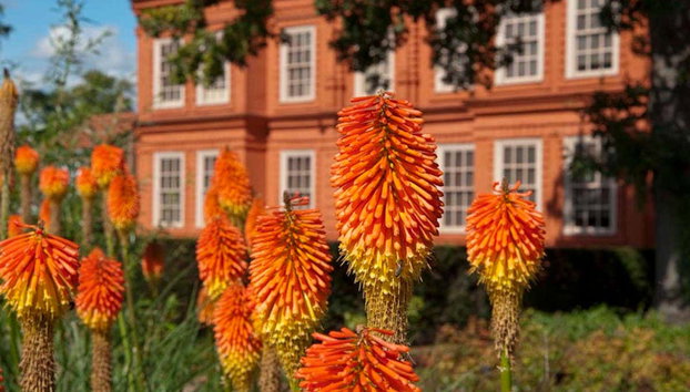 Entrada al Palacio de Kew y Real Jardín Botánico - Foto 4, Vistas del Palacio de Kew desde el Jardín