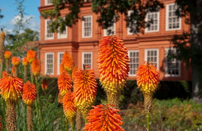 Entrada al Palacio de Kew y Real Jardín Botánico - Foto 4