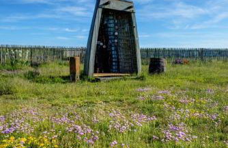 The Surf Shack - Photo 17