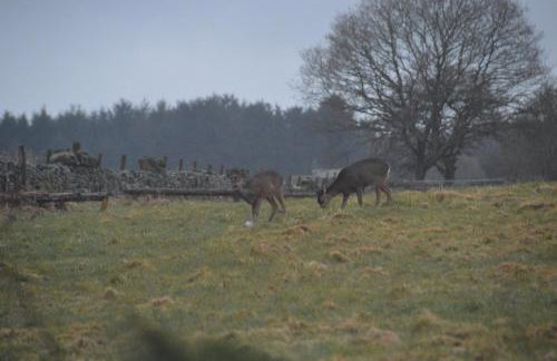 Middlehead Cottages - Foto 16