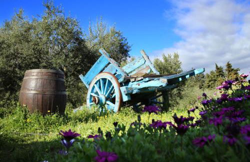 Agriturismo Guthiddai - Foto 15