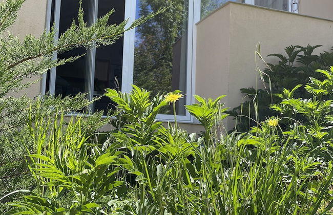 Apartamentos Aljama - Foto 20