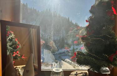 Duplex « les 7 Marmottes », Les Balcons de Recoin - Foto 19