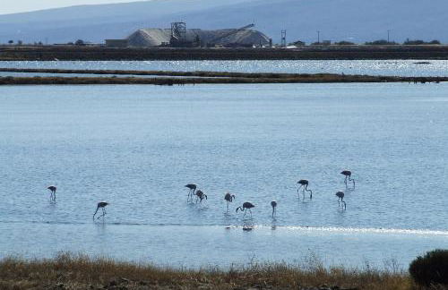 Eleni B&B - Photo 78