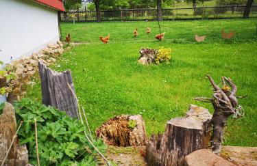 Zur Alten Schmiede mit Museum - Foto 28