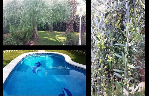 Villa 100 m from the beach - Foto 25