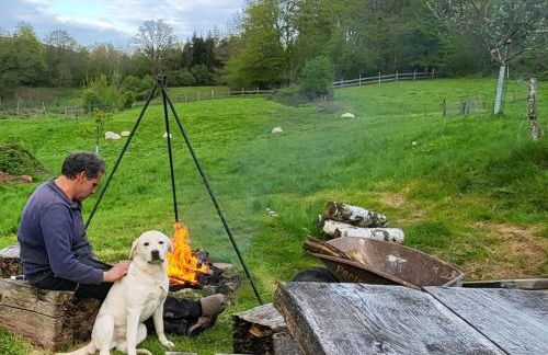 Coeurvert Calme en clairière - Ruhe in der Waldlichtung - Forest clearing stillness - Foto 72
