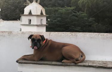 Tina & Miltos - Foto 15