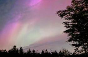 Bracken Cottage - Foto 31