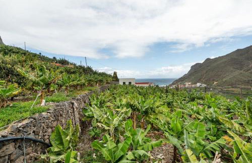 La Estrella - Foto 28