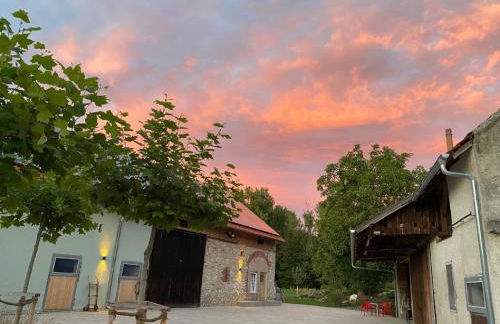 Ferienhaus am Donauspitz - Foto 36