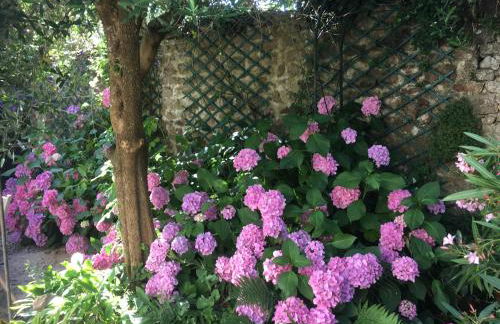 Le petit clos de Saint Goustan - Foto 30