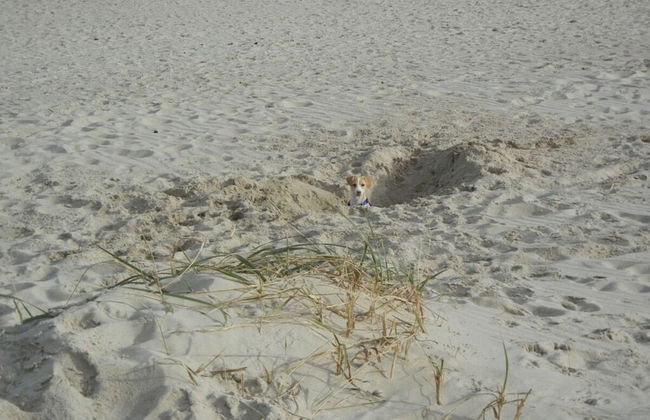 Villa Garden Cloud 7 - Foto 34