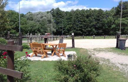 Ferienwohnung Wildau-Wentdorf - Photo 8