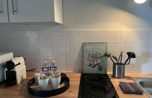 La Maison aux volets bleus 37 m3, Bords de Saône - Foto 12