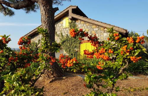 Villa Fior di Lavanda - Foto 8