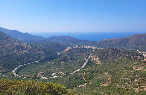 White Boutique Homes - Serenity - Photo 46