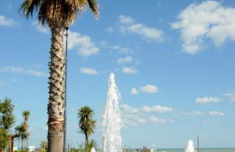 La Conchiglia - Foto 40