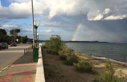 Τhe banana tree beach house - Foto 29