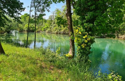 Happy Sparrow - Foto 69