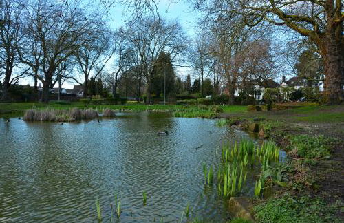 Peaceful Room Overlooking Nature & dedicated bathroom - Foto 15