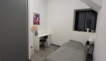 chambre meublée Nantaise dans un T3 commun avec terrasse - Foto 1