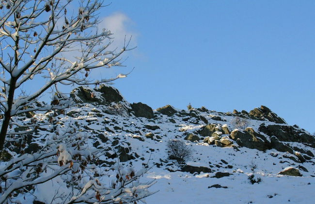 Sunny Holiday Home Near the Forest - Foto 35