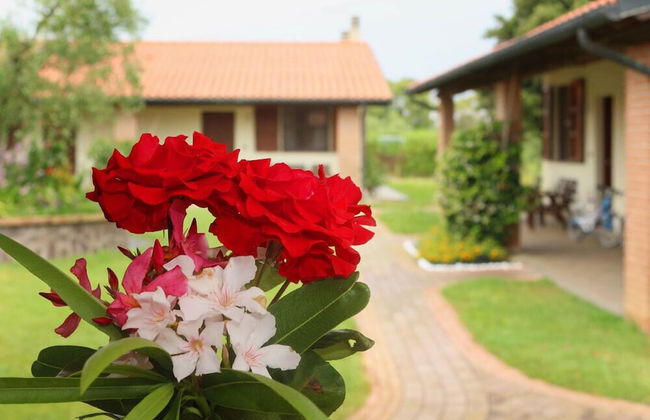 Agriturismo gli Etruschi - Foto 36