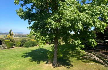 Wunderschönes Ferienhaus mit Fernblick, unweit von Limburg und Rhein-Main-Gebiet - Photo 15