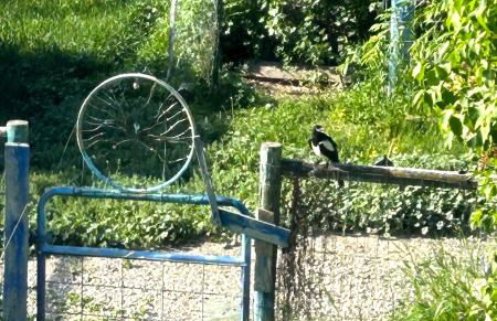 Peaceful Vacation Getaway, Private Yard, Hot Tub, 360 Views, Cozy Cottage in the heart of the Bitterroot Valley, Sage Cottage 406 - Foto 35